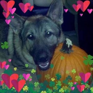 Meet your Posher, Vicki